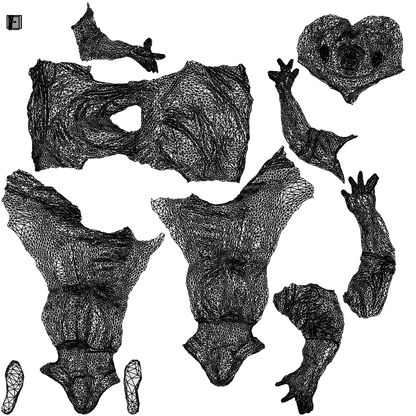 realistic 3D man casual sitting, scanned archviz people for Blender and 3ds Max, wireframe top-down view