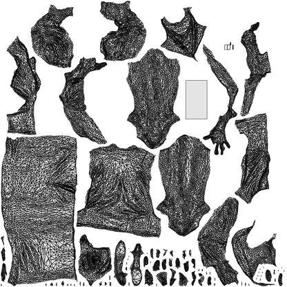 3D scanned woman standing business, photorealistic archviz people for Enscape and SketchUp, wireframe top-down view