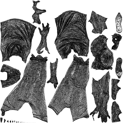 realistic 3D people woman sport, render-ready for V-Ray and Corona, FBX OBJ, wireframe top-down view