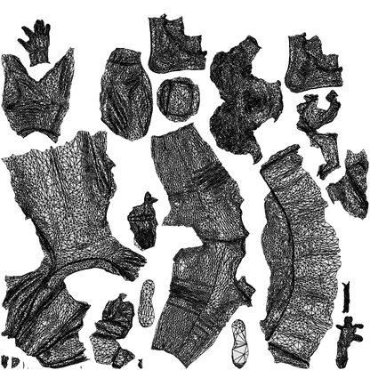 3D people model woman casual standing, scanned human for 3ds Max rendering, wireframe top-down view