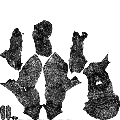 photogrammetry 3D woman casual sitting, realistic human model archviz FBX, wireframe top-down view