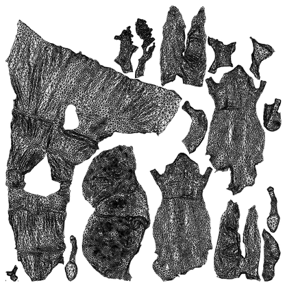 3D people model woman casual standing, scanned human for 3ds Max rendering, wireframe top-down view