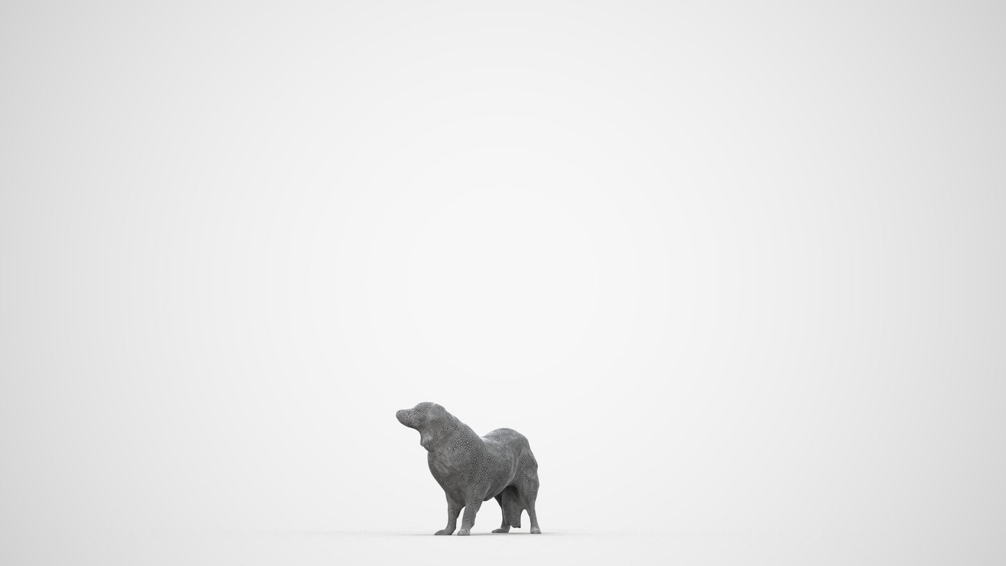 photogrammetry 3D person misc, realistic human model archviz FBX, wireframe back view