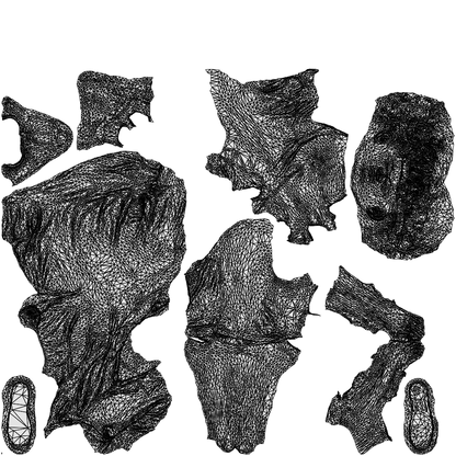 scanned 3D boy casual kids, photogrammetry people for Enscape and V-Ray, wireframe top-down view