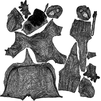 3D people model man hospitality, scanned human for 3ds Max rendering, wireframe top-down view