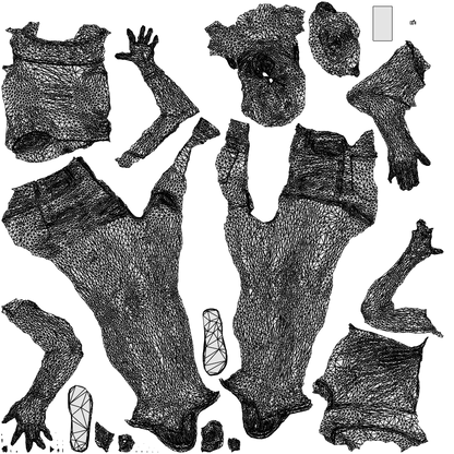 3D people model girl casual standing, scanned human for 3ds Max rendering, wireframe top-down view