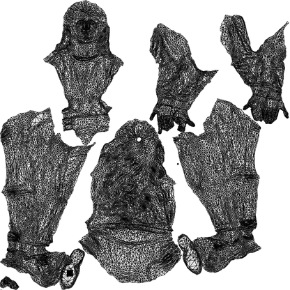 3D scanned woman sitting, photorealistic archviz people for Enscape and SketchUp, wireframe top-down view
