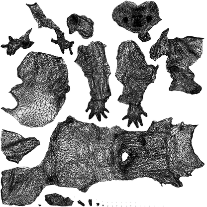 photogrammetry 3D man sitting, realistic human model archviz FBX, wireframe top-down view
