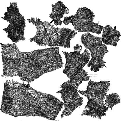 scanned 3D woman business standing, photogrammetry people for Enscape and V-Ray, wireframe top-down view