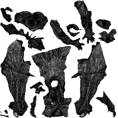 3D people model girl business kids, scanned human for 3ds Max rendering, wireframe top-down view