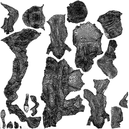 scanned 3D woman formal formalaffairs, photogrammetry people for Enscape and V-Ray, wireframe top-down view