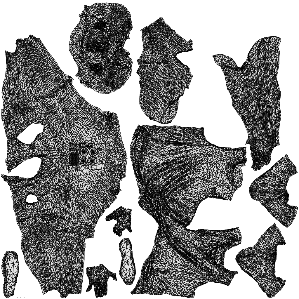 3D people model man sport, scanned human for 3ds Max rendering, wireframe top-down view
