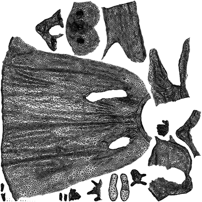scanned 3D man walking, photogrammetry people for Enscape and V-Ray, wireframe top-down view