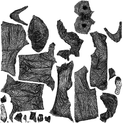 3D people model senior man business standing, scanned human for 3ds Max rendering, wireframe top-down view