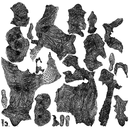 3D people model boy casual kids, scanned human for 3ds Max rendering, wireframe top-down view