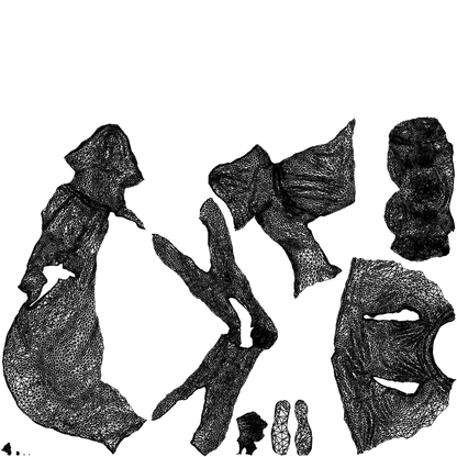 realistic 3D woman casual sitting, scanned archviz people for Blender and 3ds Max, wireframe top-down view