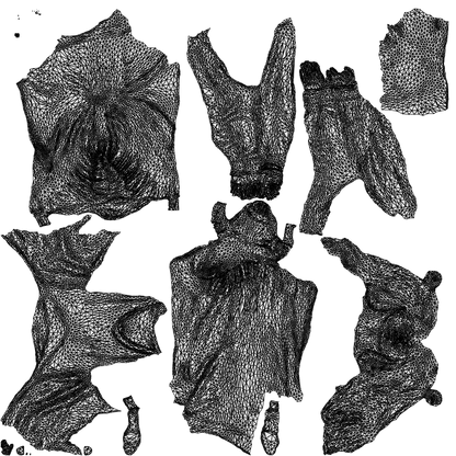 3D human model woman casual cycling, photogrammetry scanned person for archviz, wireframe top-down view