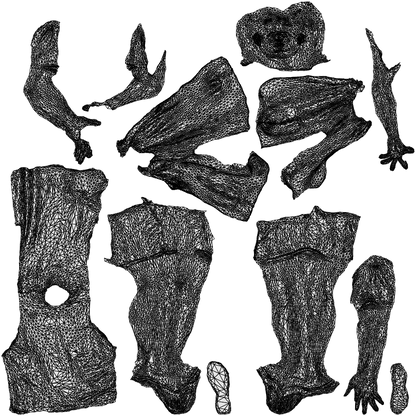 scanned 3D man walking, photogrammetry people for Enscape and V-Ray, wireframe top-down view