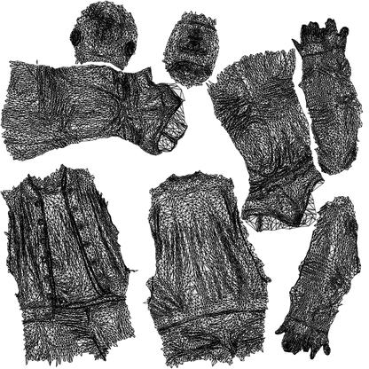 realistic 3D human man casual walking, archviz people FBX OBJ for Blender, wireframe top-down view