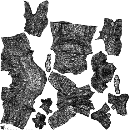 realistic 3D man business, scanned archviz people for Blender and 3ds Max, wireframe top-down view