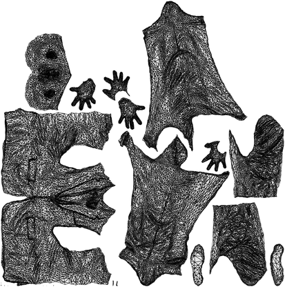 scanned 3D senior man business, photogrammetry people for Enscape and V-Ray, wireframe top-down view