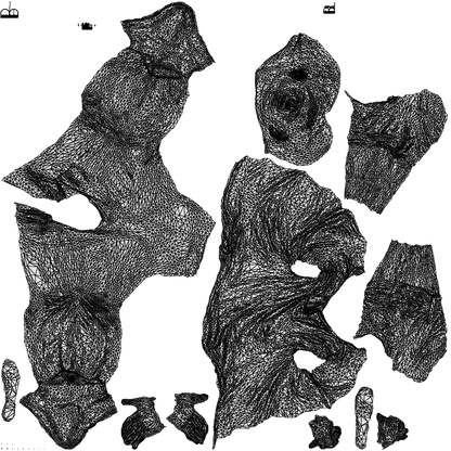 3D scanned man cycling casual, photorealistic archviz people for Enscape and SketchUp, wireframe top-down view