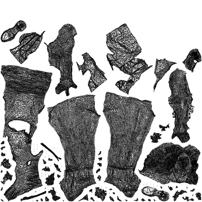 3D people model woman casual walking, scanned human for 3ds Max rendering, wireframe top-down view