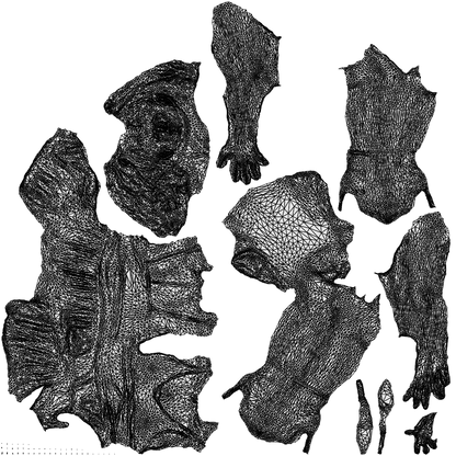 scanned 3D woman casual sitting, photogrammetry people for Enscape and V-Ray, wireframe top-down view