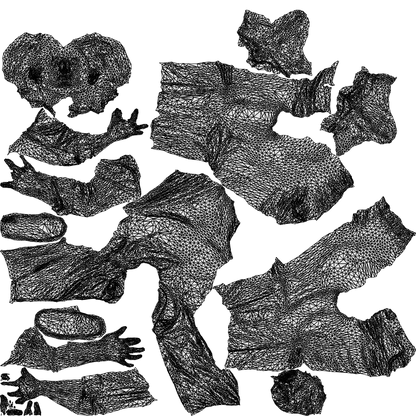 realistic 3D girl kids, scanned archviz people for Blender and 3ds Max, wireframe top-down view