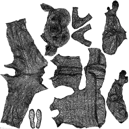 realistic 3D senior woman casual standing, scanned archviz people for Blender and 3ds Max, wireframe top-down view