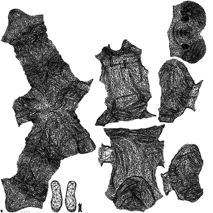 3D people model boy casual kids, scanned human for 3ds Max rendering, wireframe top-down view