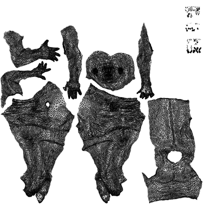 realistic 3D people man pool, render-ready for V-Ray and Corona, FBX OBJ, wireframe top-down view