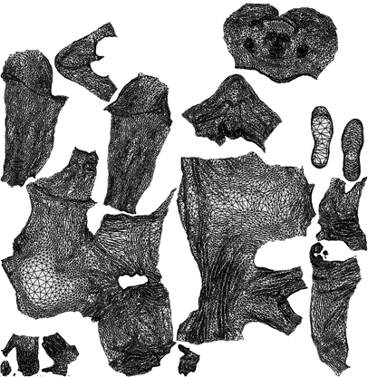realistic 3D man casual sitting, scanned archviz people for Blender and 3ds Max, wireframe top-down view