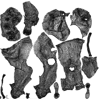3D people model woman casual sitting, scanned human for 3ds Max rendering, wireframe top-down view