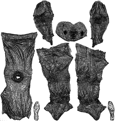 photogrammetry 3D man casual walking, realistic human model archviz FBX, wireframe top-down view
