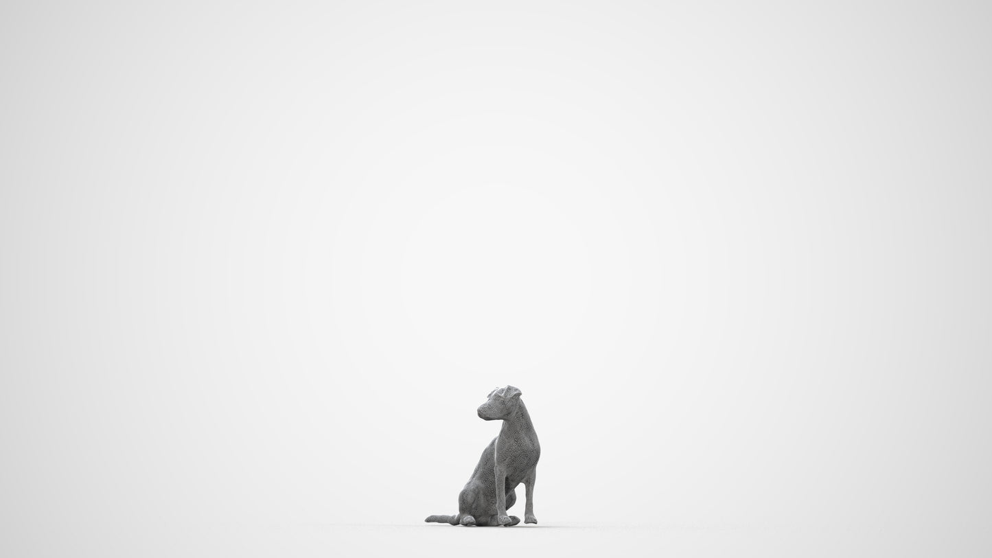 scanned 3D person misc, photogrammetry people for Enscape and V-Ray, wireframe back view