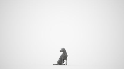 scanned 3D person misc, photogrammetry people for Enscape and V-Ray, wireframe back view