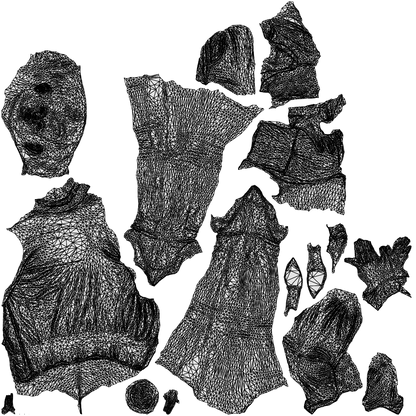photogrammetry 3D woman business standing, realistic human model archviz FBX, wireframe top-down view