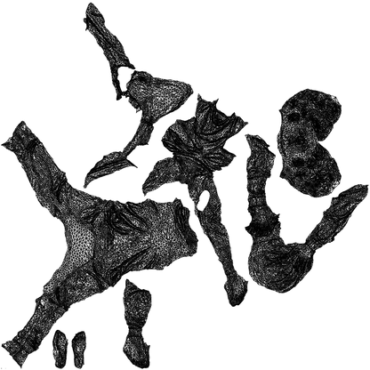 3D human model girl kids, photogrammetry scanned person for archviz, wireframe top-down view