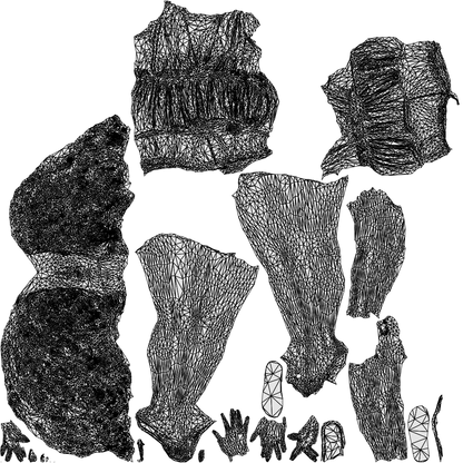 realistic 3D people woman casual walking, render-ready for V-Ray and Corona, FBX OBJ, wireframe top-down view