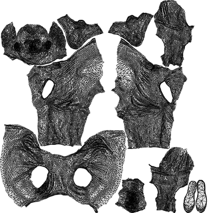 3D people model man casual sitting, scanned human for 3ds Max rendering, wireframe top-down view