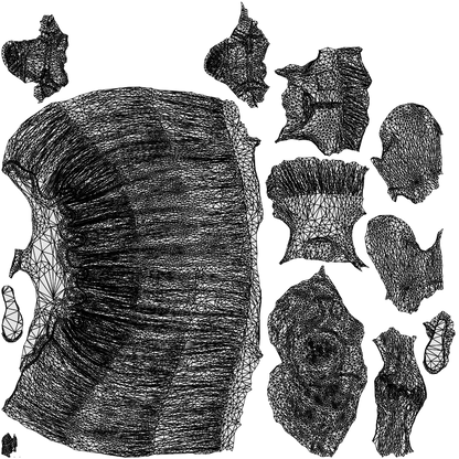 3D people model woman casual standing, scanned human for 3ds Max rendering, wireframe top-down view