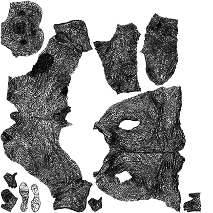 realistic 3D people man casual mix, render-ready for V-Ray and Corona, FBX OBJ, wireframe top-down view