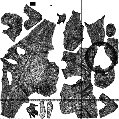 realistic 3D man casual sitting, scanned archviz people for Blender and 3ds Max, wireframe top-down view
