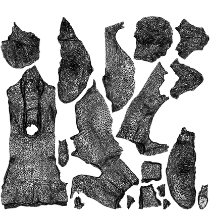 3D human model senior woman business sitting, photogrammetry scanned person for archviz, wireframe top-down view
