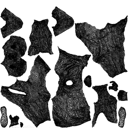 scanned 3D boy casual kids, photogrammetry people for Enscape and V-Ray, wireframe top-down view
