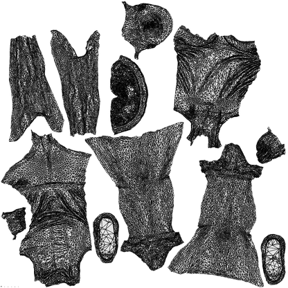 realistic 3D people girl sport, render-ready for V-Ray and Corona, FBX OBJ, wireframe top-down view