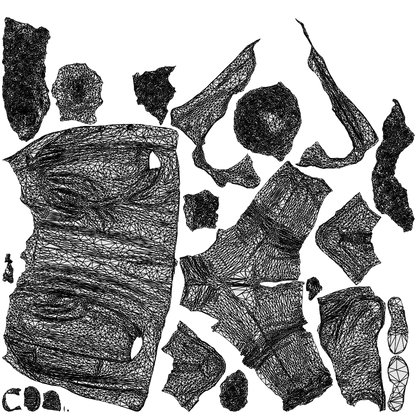scanned 3D woman casual walking, photogrammetry people for Enscape and V-Ray, wireframe top-down view