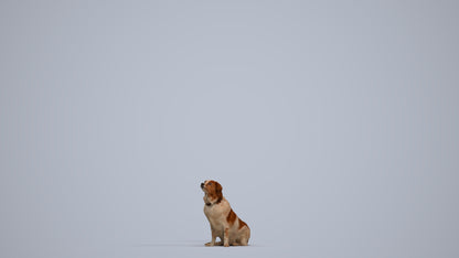 3D human model person misc, photogrammetry scanned person for archviz, standing pose render