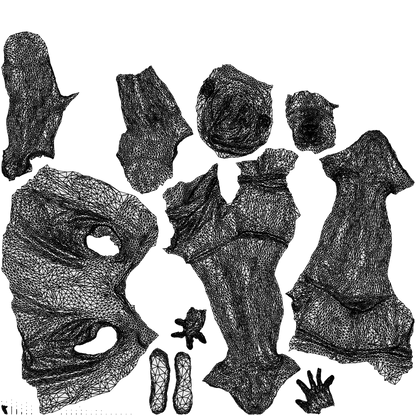 realistic 3D people man sport standing, render-ready for V-Ray and Corona, FBX OBJ, wireframe top-down view